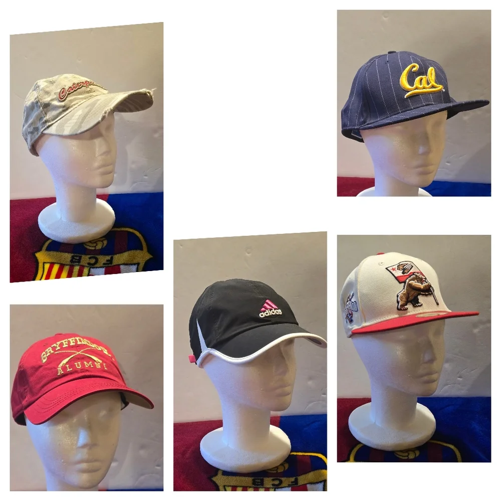 Lot Of 10 Hats/ball Caps Unisex
